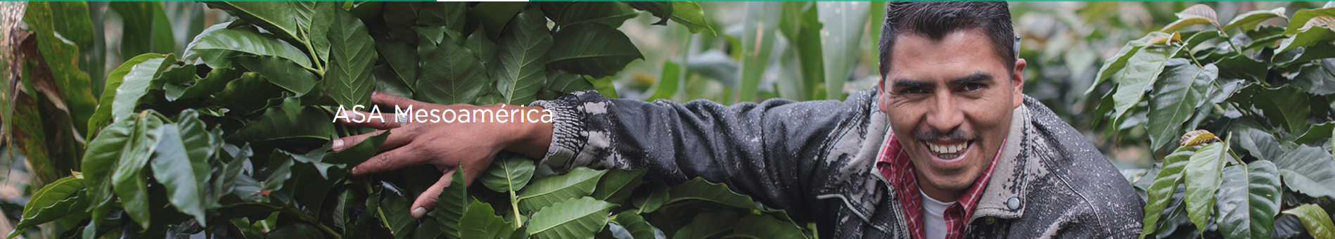 Captura de pantalla 2024-09-10 161013.png