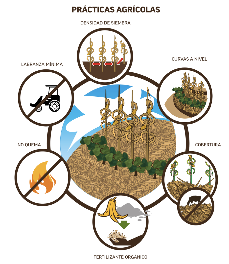 Captura de Pantalla 2024-09-16 a la(s) 8.42.30 a.&nbsp;m..png