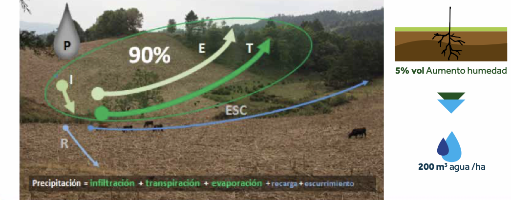 Captura de Pantalla 2024-09-16 a la(s) 9.50.43 a.&nbsp;m..png