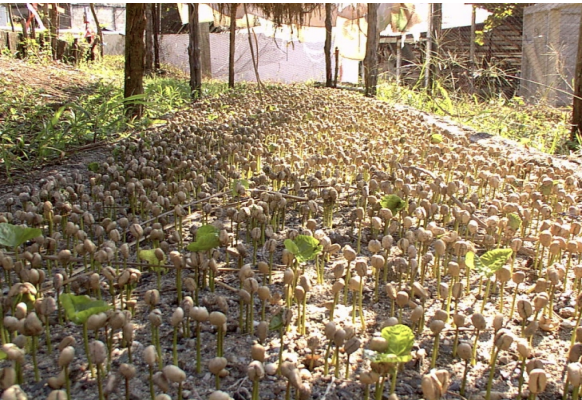 Captura de Pantalla 2024-09-23 a la(s) 8.07.24 a.&nbsp;m..png