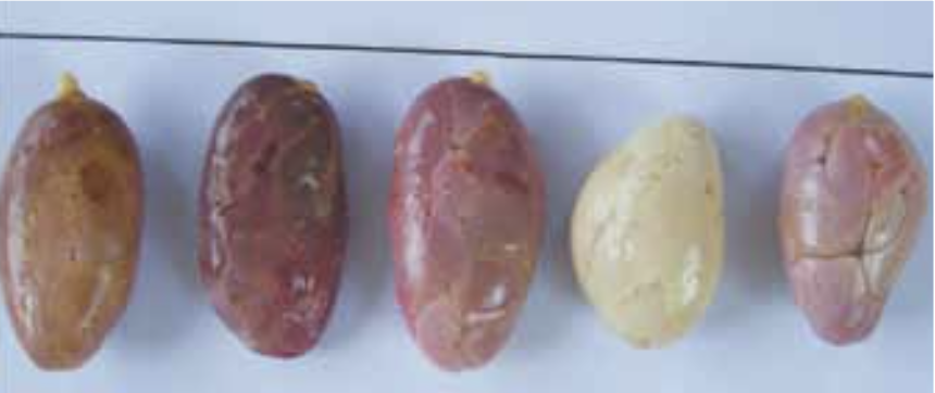 Captura de Pantalla 2024-10-07 a la(s) 10.49.17 a.&nbsp;m..png