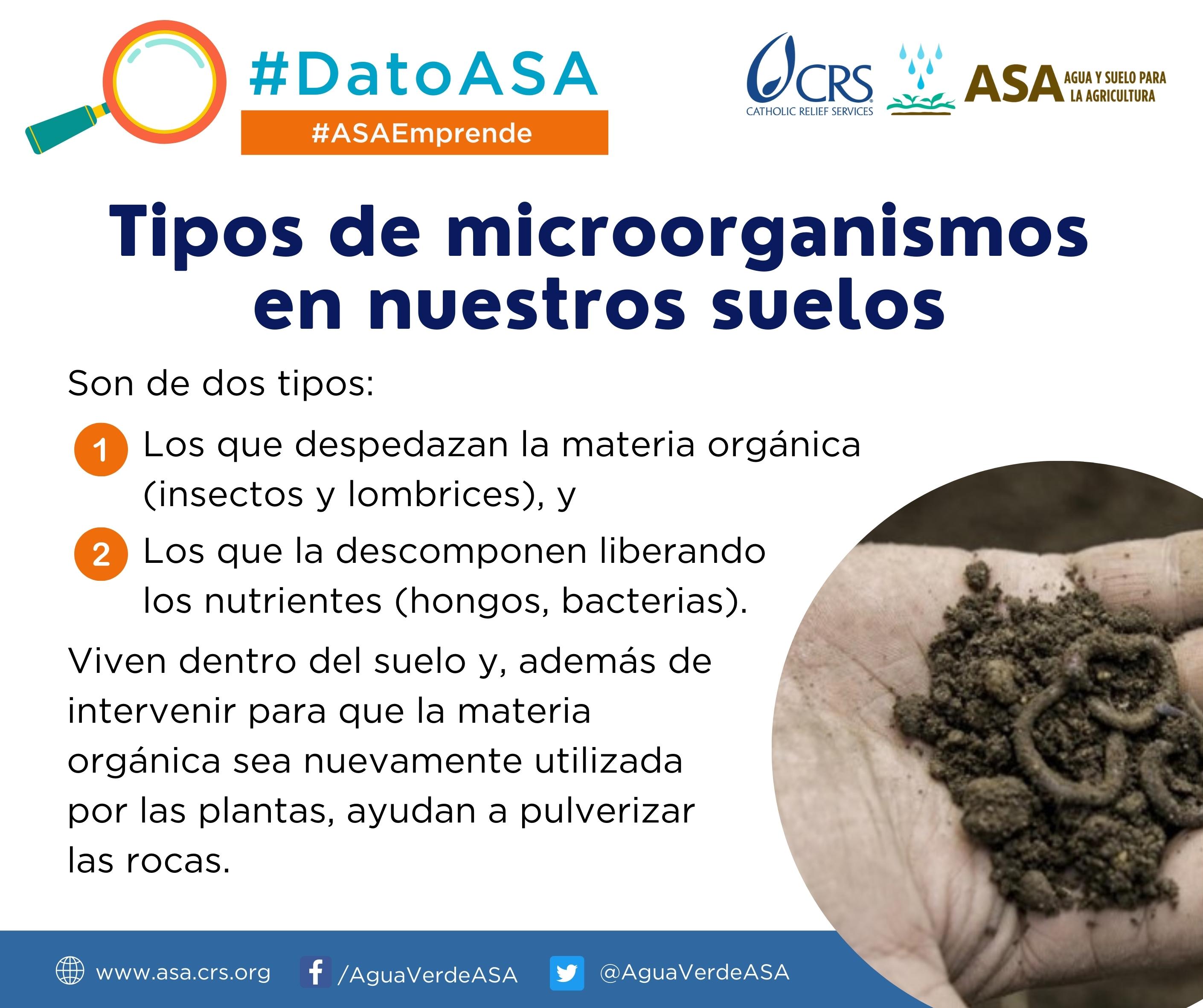 AE [2da 2022] Dato ASA 1 revisado (1).jpg