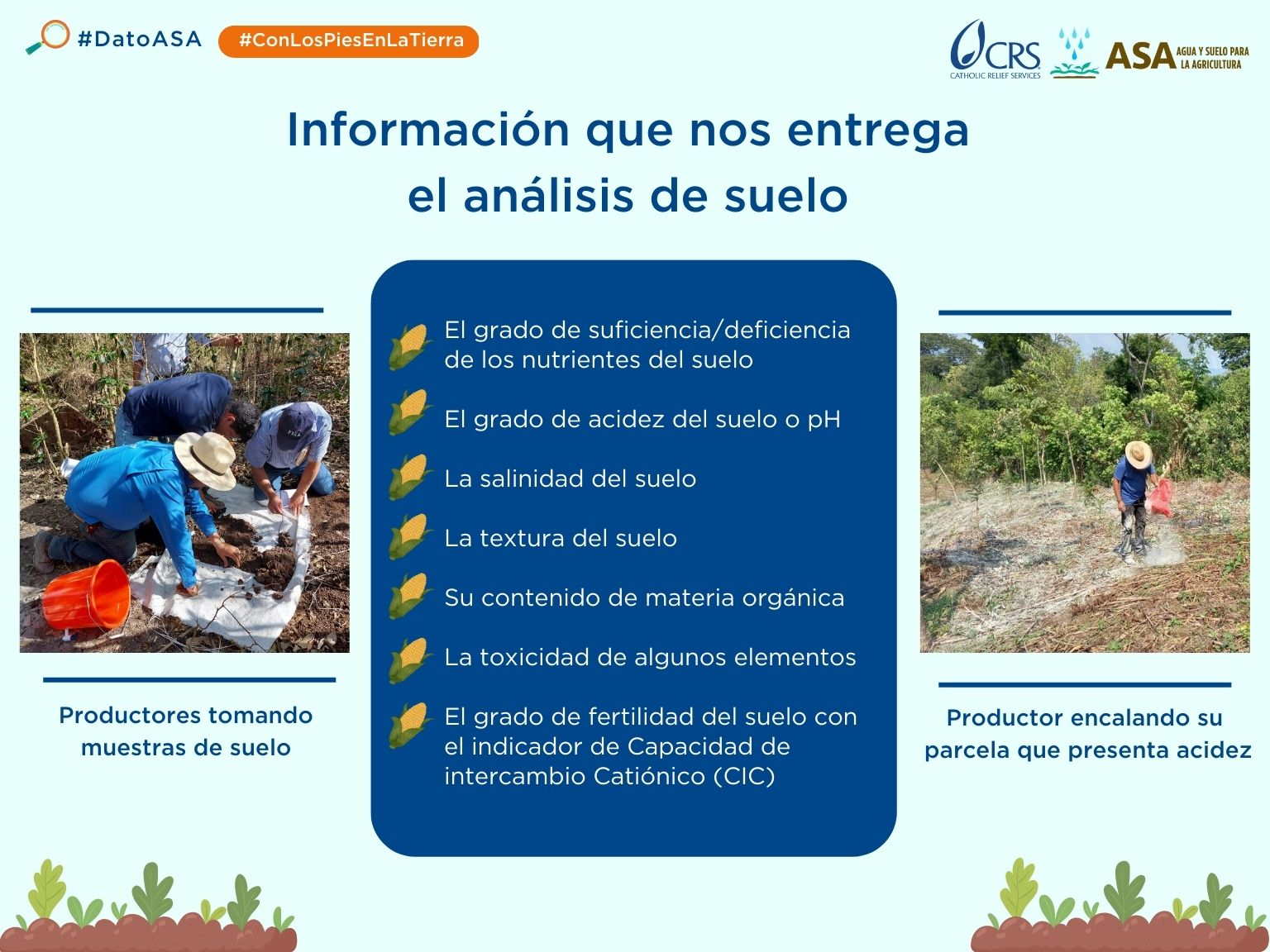 analisis del suelo.png